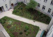Innen_Dernburg.JPG